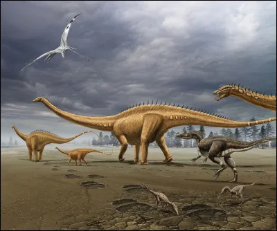 Quel était le régime alimentaire du diplodocus ?