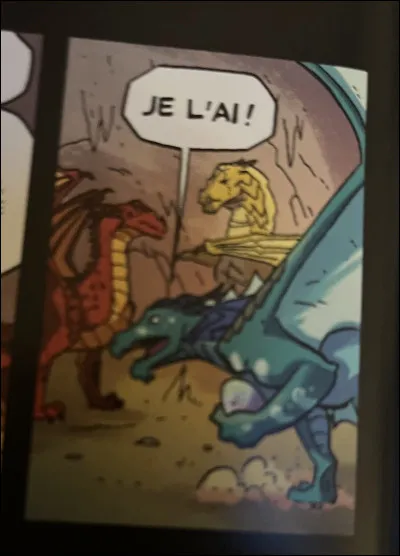 Qui sont leurs gardiens ?