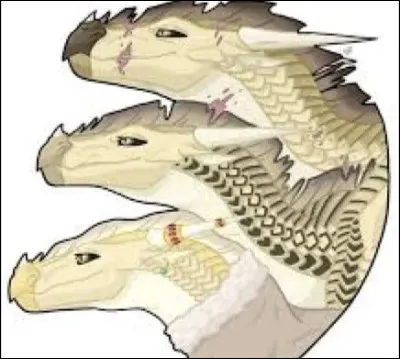 Comment sont-elles mortes ?