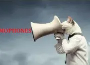 Quiz Les homophones se jouent de nous n45