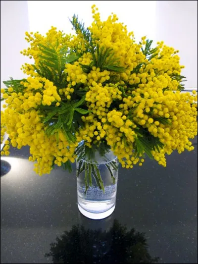 Et enfin voici un bouquet d'hiver qui respire la Provence !