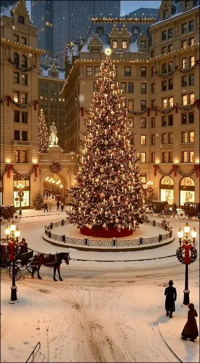 Quelle taille de sapin te convient le mieux ?