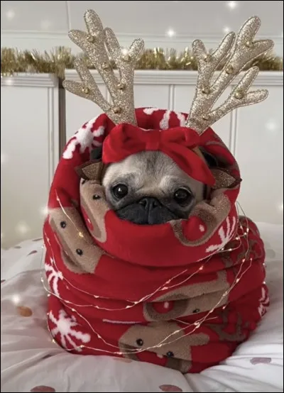 Veux-tu qu'il soit beaucoup surcharg&eacute; ?