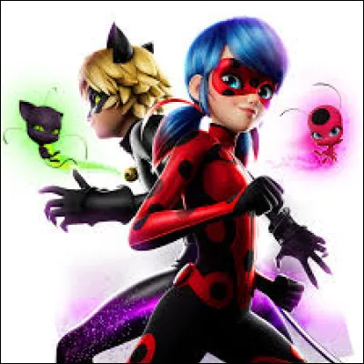 Dans quelle série d'animation suit-on les aventures de Ladybug et Chat Noir ?
