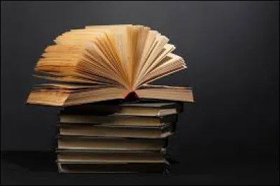 Qui a écrit le roman intitulé "L'uvre au noir" ?