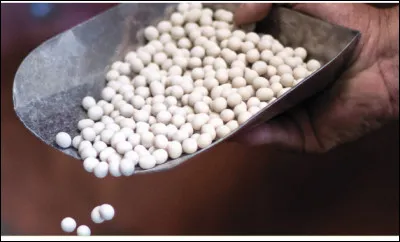 Quel est le nom de cette confiserie, une spécialité de la commune de Flavigny ?