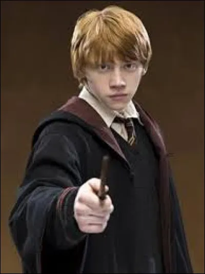 Comment se nomme ce personnage de la saga Harry Potter ?