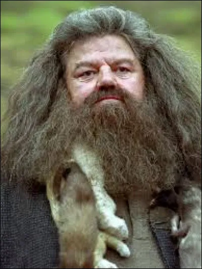 Comment se nomme ce personnage de la saga Harry Potter ?