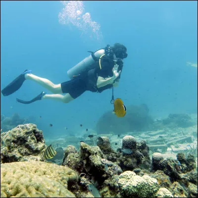 Quelle invention a permis aux humains de voyager sous l'eau sans respirer de l'oxygène directement ?