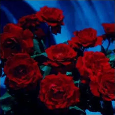 Déjà, que préfères-tu ?