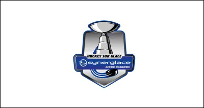 Que se passe-t-il au terme d'une saison régulière de Ligue Magnus ?