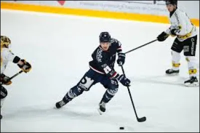 Quel club est actuellement en tête de la ligue Magnus ?