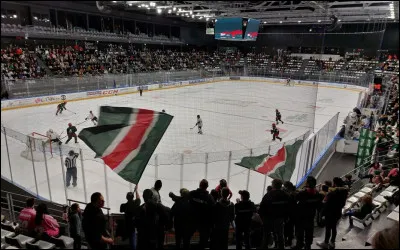 Quel est le seul club d'Île-de-France en ligue Magnus ?