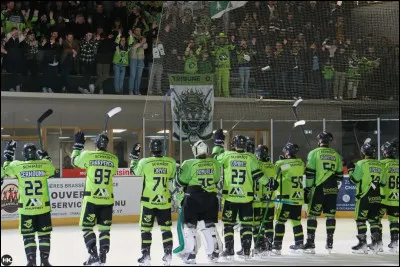 Comment accède-t-on à la ligue Magnus ?