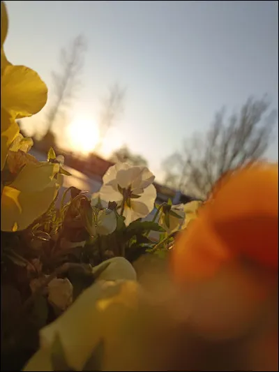 Quelle est ta saison préférée ?