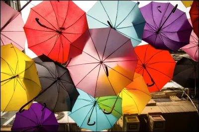 Quelle est la couleur du parapluie qui est à côté du parapluie violet, en bas de l'image ?