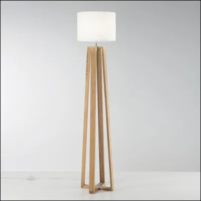 Quel est cet objet ?