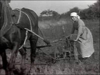 Comment étaient habillée les femmes qui travaillaient dans les champs ?