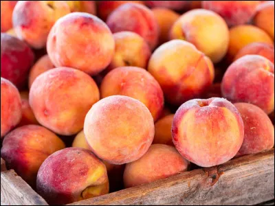 La pêche Melba est coiffée de crème chantilly.