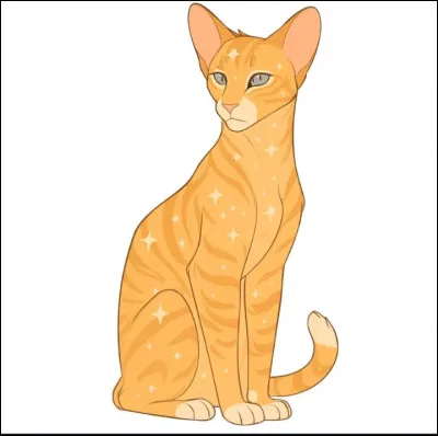 Dans "La vengeance d'Étoile Filante", qu'a fait Moineau pour que Plume Filante le déteste autant ?