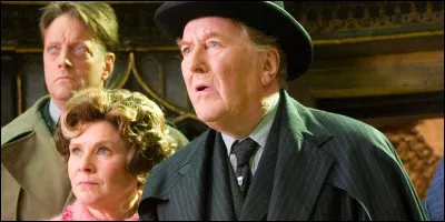 Quel rôle joue-t-il au ministère de la Magie ?