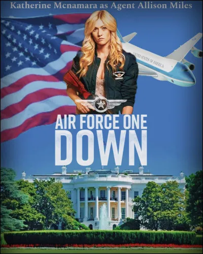 "Air Force One" est un film joué par Harrison Ford.
