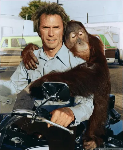 "Doux, dur et dingue" est joué par Clint Eastwood.