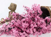 Test Tu tennuies ? Ce test va te trouver une activit !