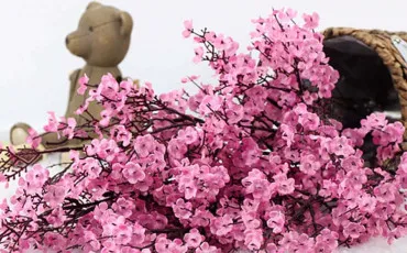 Quiz Test de personnalit