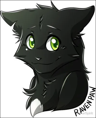 Crois-tu au Clan des &Eacute;toiles ?