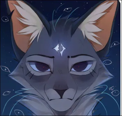 Ton p&egrave;re a un accident. Tu es le seul gu&eacute;risseur pr&eacute;sent au camp, ton mentor est parti voir C�ur de Lune, une gu&eacute;risseuse d'un autre clan. Que fais-tu ?