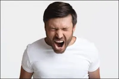 Il est ... de rage ou de peur ?
