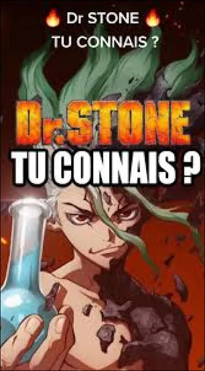 Salut habitant(e) du Royaume de la Science ! Aujourd�hui, tu vas d&eacute;couvrir qui va t�offrir un cadeau pour No&euml;l ! Allez, c�est parti pour mon test �follement excitant� ! 1&egrave;re question : Quel est ton personnage pr&eacute;f&eacute;r&eacute; de Dr Stone ? 1/4