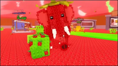 Quelle est la rareté du Strawberry Éléphant ?