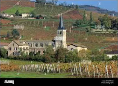Commune viticole de l'arrondissement de Villefranche-sur-Saône, Chénas se situe dans le département ...