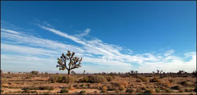 Quel est le climat du Népal ?