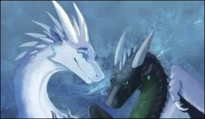 Qui est ou qui sont les protagonistes ?