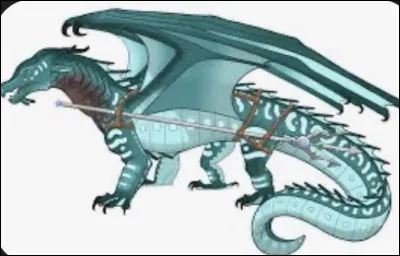 Comment sappelle le commandant ou la commandante des Ailes de Mer ?