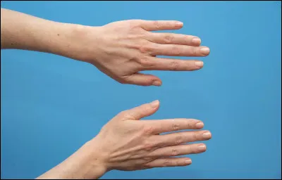 Combien un humain a-t-il de doigts ?