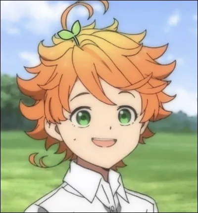 Quel animal te représente ?