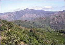 A combien est son point culminant ?