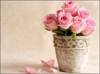 Que signifie l'expression "découvrir le pot aux roses" ?