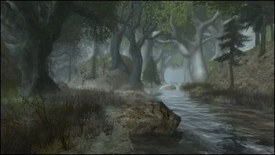 Quel nouveau nom est donn&eacute; &agrave; la For&ecirc;t Noire apr&egrave;s la Guerre de l�Anneau ?