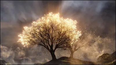 Legolas voyage-t-il vers les Terres Immortelles ?