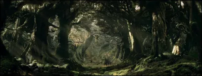 Dans quelle for&ecirc;t Legolas et Gimli voyagent-ils ?