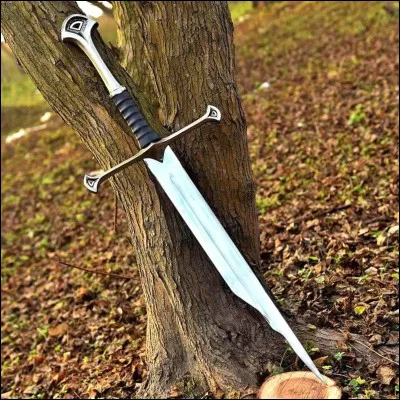 Comment s�appelait l�&eacute;p&eacute;e qui appartiendra &agrave; Aragorn avant d�&ecirc;tre reforg&eacute;e ?