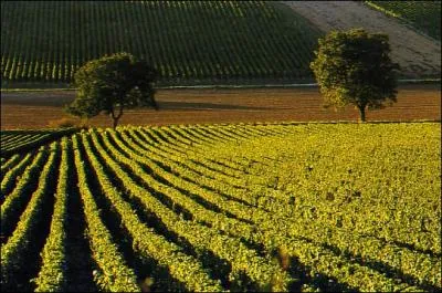 Quel est le numro de ce dpartement ?