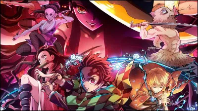 K - Kimestu no Yaiba : Comment se nomme la sur du personnage principal ?