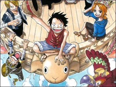 O - One Piece : Pourquoi le nom "One Piece" a-t-il été choisi ?