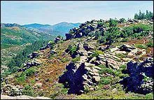 Comment se nomment les habitants de l'Hrault ?